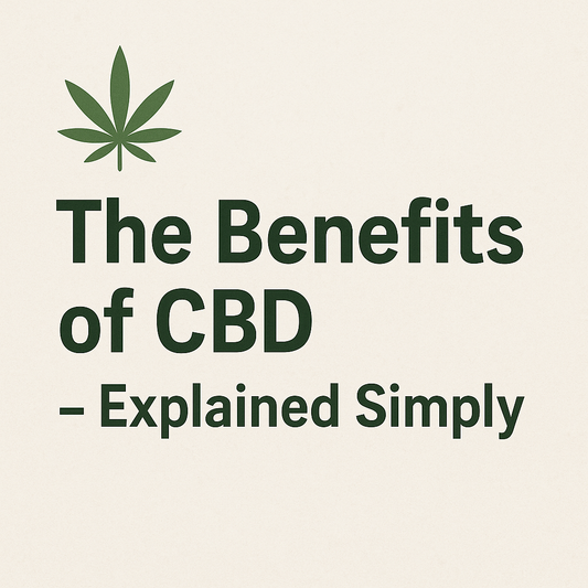 🌿 The Benefits of CBD – Explained Simply