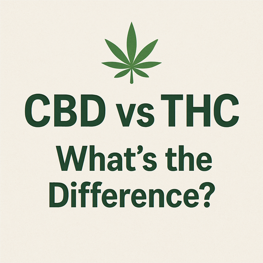 🌿CBD vs THC – What’s the Difference?
