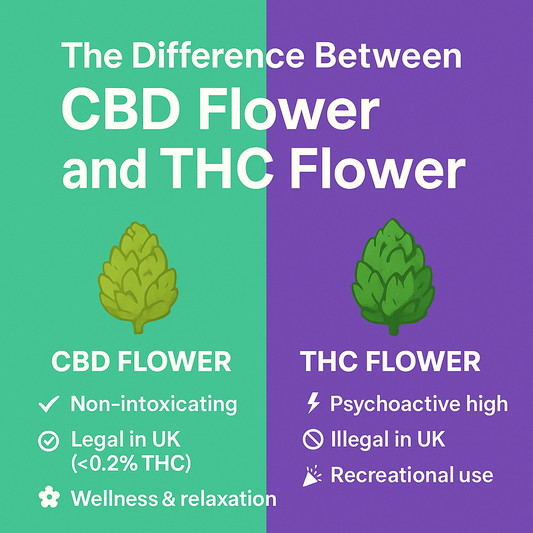 The Difference Between CBD Flower and THC Flower 🌿