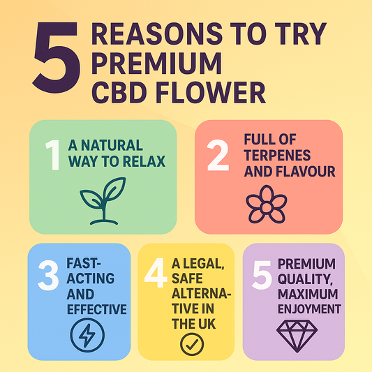5 Reasons to Try Premium CBD Flower