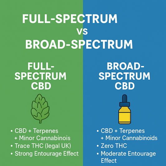 Full-Spectrum vs Broad-Spectrum CBD Explained 🌿