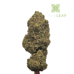 Lemon Sherbet - Flower