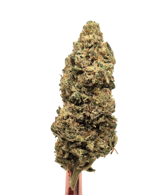 Lemon Tree - HEMP TEA