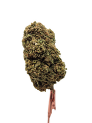 Rainbow Z - HEMP TEA