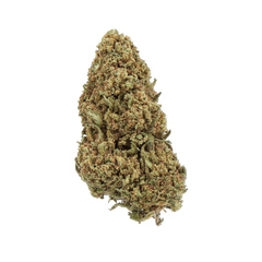 Bubba Kush - GREENHOUSE