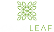 Calm Leaf