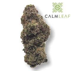 Milka Pop hemp tea flower from Calm Leaf