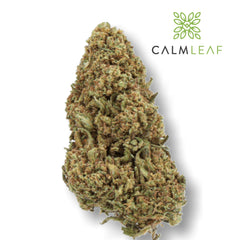 Bubba Kush - Glasshouse hemp tea flower from Calm Leaf