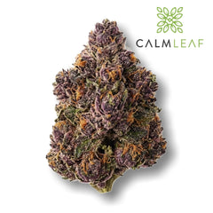 Blackberry Cake - Premium Greenhouse