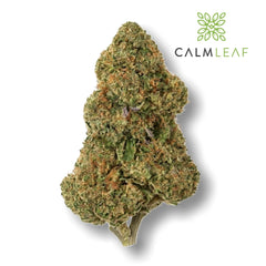 Space Cake hemp tea flower from Calm Leaf
