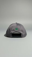 Grey Boshi Ultra Black/Green Logo Cap