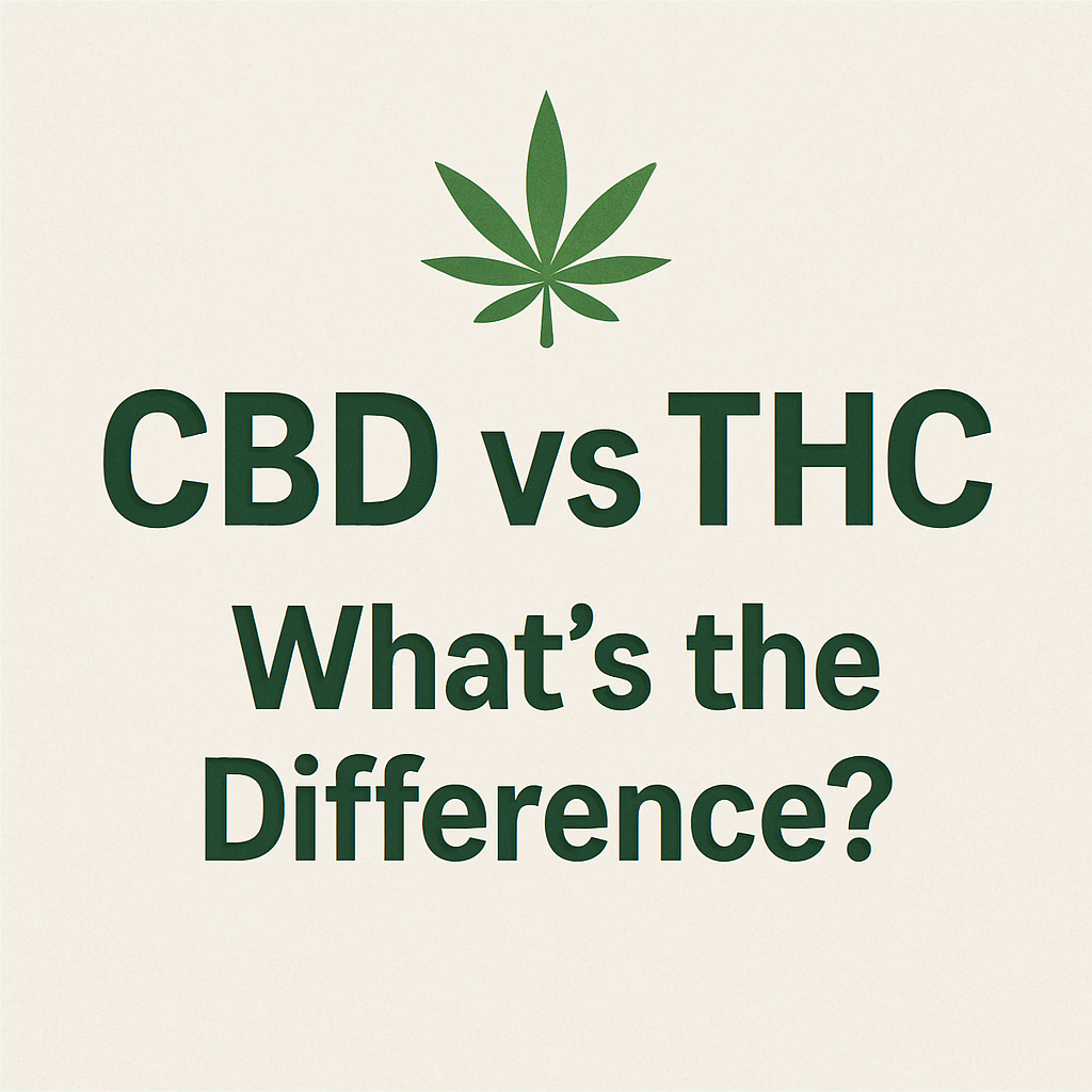 🌿CBD vs THC – What’s the Difference?