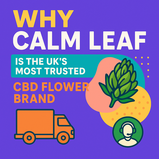 Why Calm Leaf Is the UK’s Most Trusted CBD flower Brand