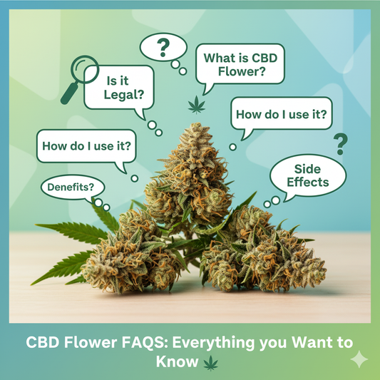 CBD Flower FAQs: Everything You Want to Know 🌿❓