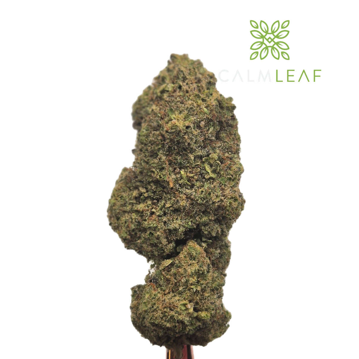 Lemon Sherbet - Flower