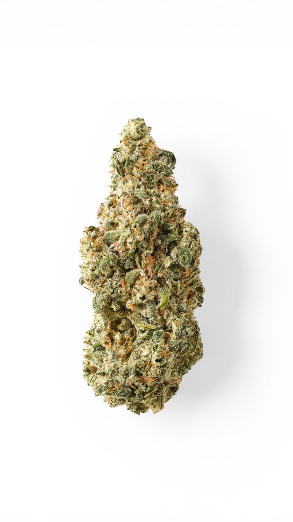 Silver bubble - Premium indoor LED