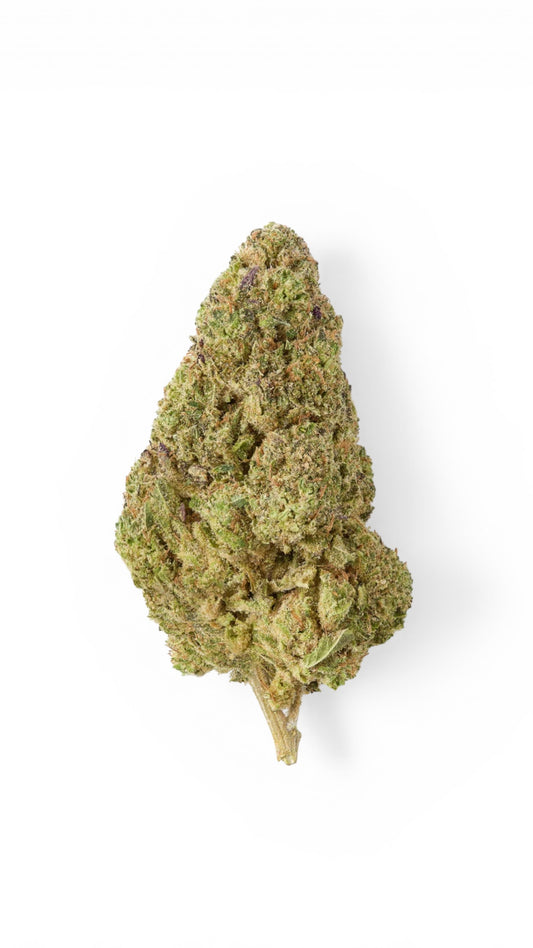 Black cherry gelato  - Premium indoor LED