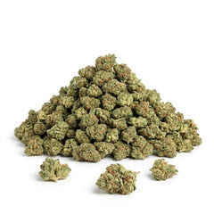 Premium Indoor 'Sweet Tooth' Smalls