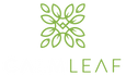 Calm Leaf