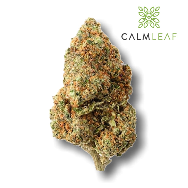 Bubblegum Gelato