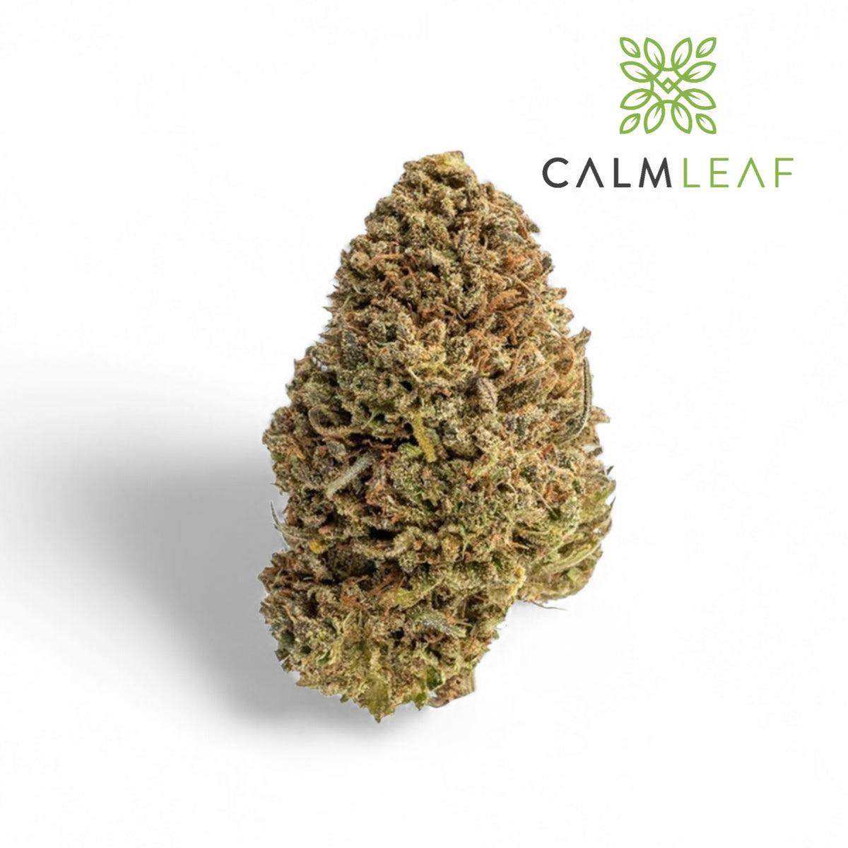 Pink Critical - Premium Greenhouse