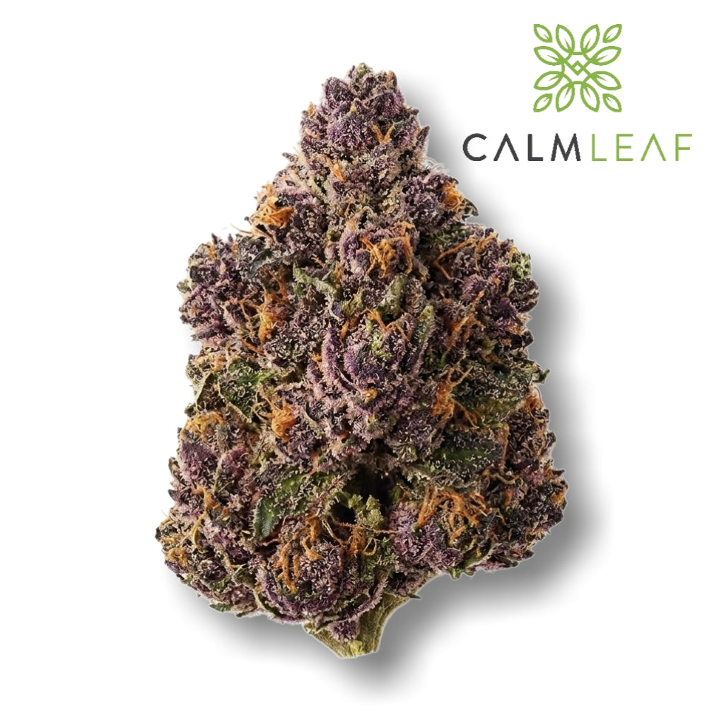 Blackberry Cake - Premium Greenhouse